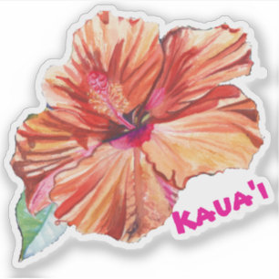 Kauai Hibiscus Watercolor Hawaii Pegatina