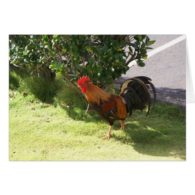 Kauai Rooster Card (Anverso (Horizontal))