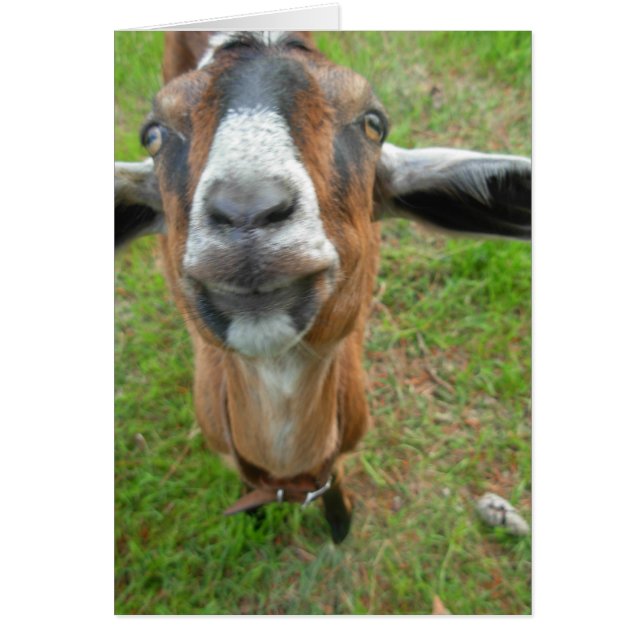 ¡keepin mi hueco! Mariah la tarjeta de la cabra (Frente)