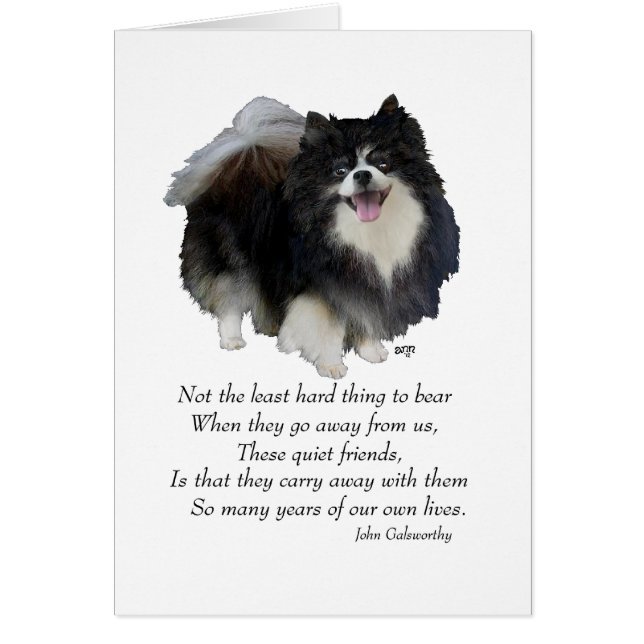 Keepsake de Pomerania negra (Frente)
