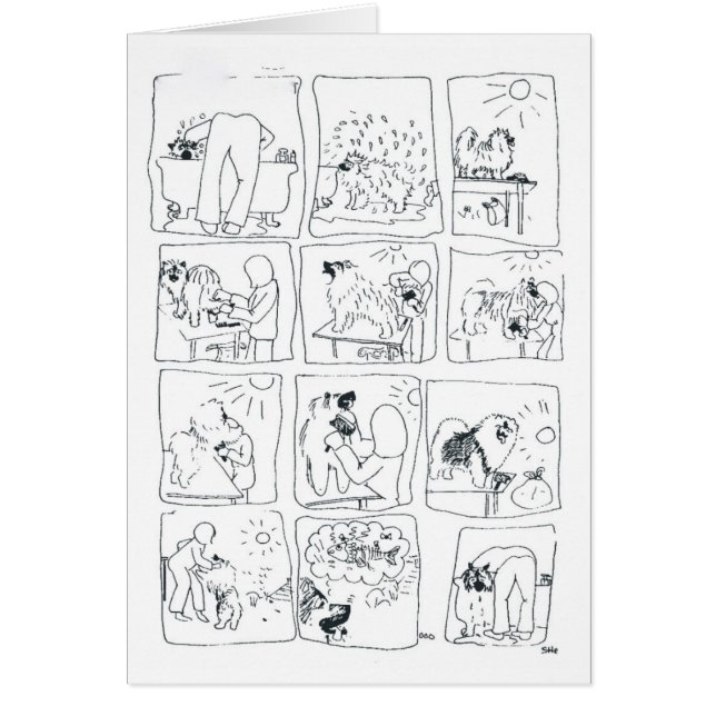 Keeshond Bathtime cómico (Frente)