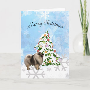 Keeshond con el árbol de navidad en cristal azul