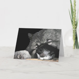 Keeshond cualquier tarjeta de felicitación de la