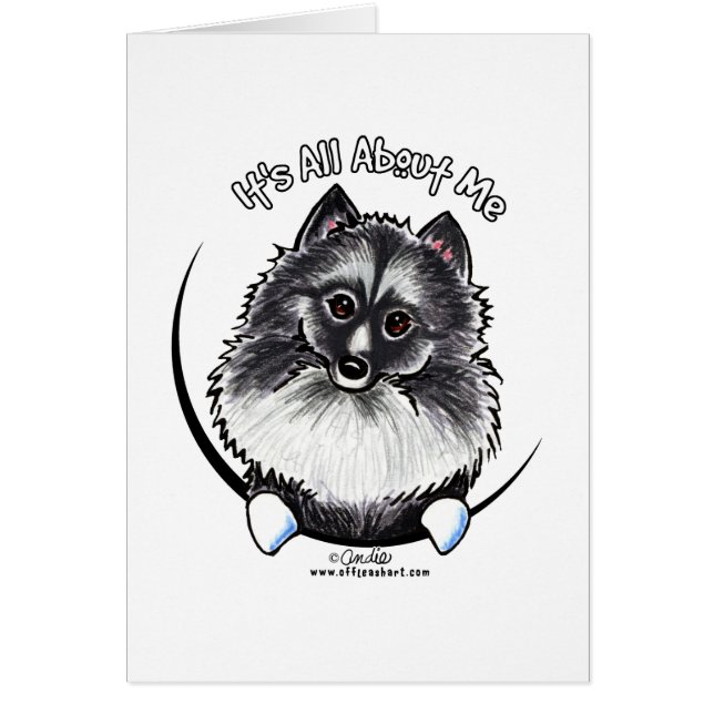 Keeshond IAAM (Frente)
