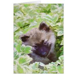 Keeshond Puppy en el jardín pintando arte original