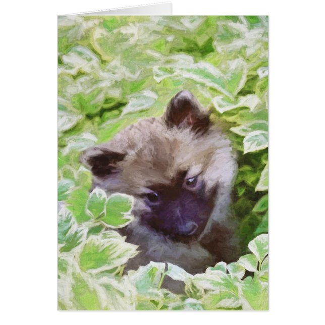 Keeshond Puppy en el jardín pintando arte original (Frente)
