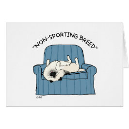 Keeshond "Raza no deportiva"