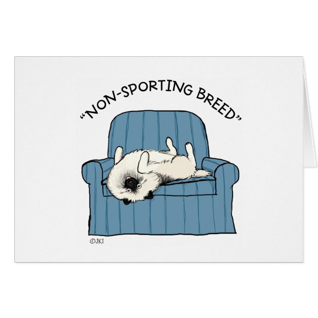 Keeshond "Raza no deportiva" (Anverso (Horizontal))