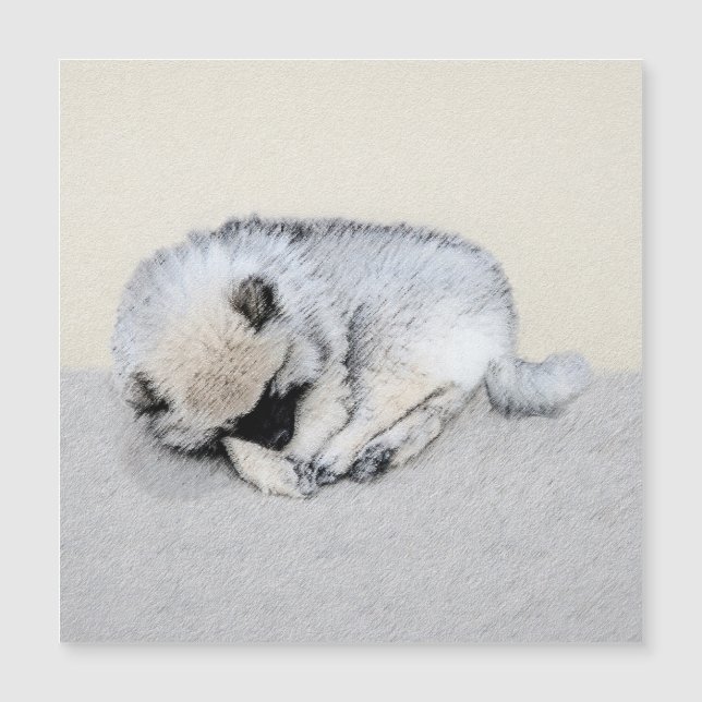Keeshond Sleeping Pinting Pintura Original De Perr (Anverso)