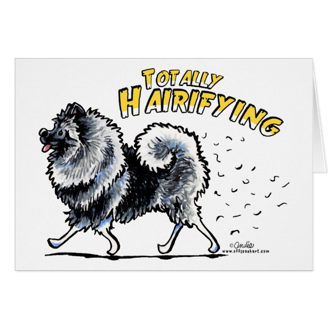 Keeshond Totalmente Hairifying (Anverso (Horizontal))