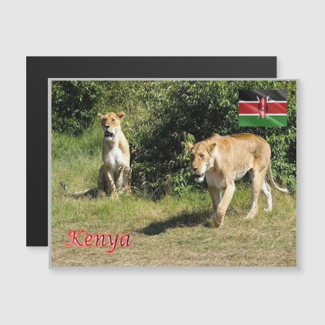 Kenia - Lioness - (Anverso/Reverso)