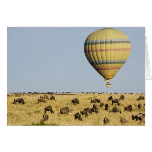 Kenia, Masai Mara. Los turistas montan en globo ae