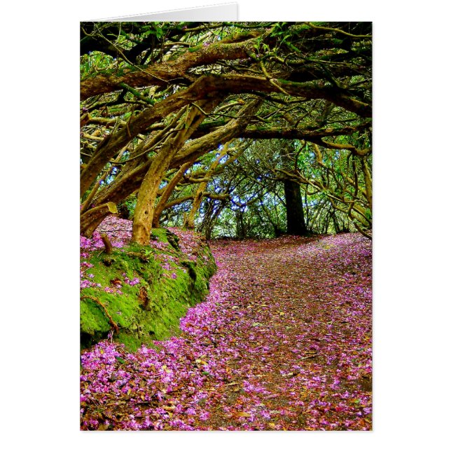 Kenmare Ireland (Frente)