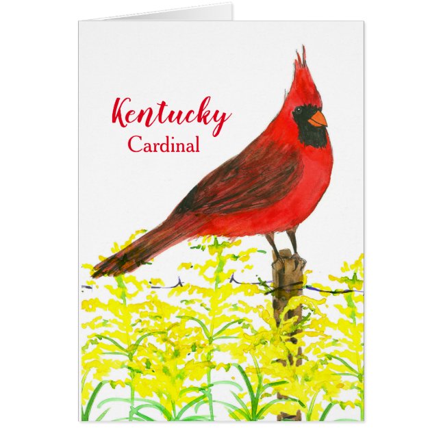 Kentucky Cardinal State Bird Blank (Frente)