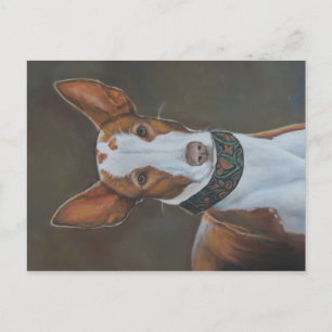 Kenzie, la postal de arte ibicenco