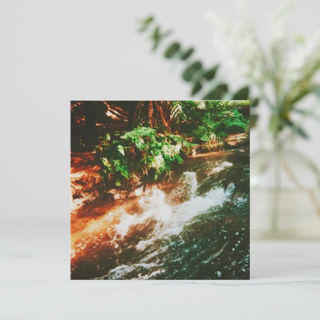 Kerosene Creek Hot Spring (Anverso de pie)