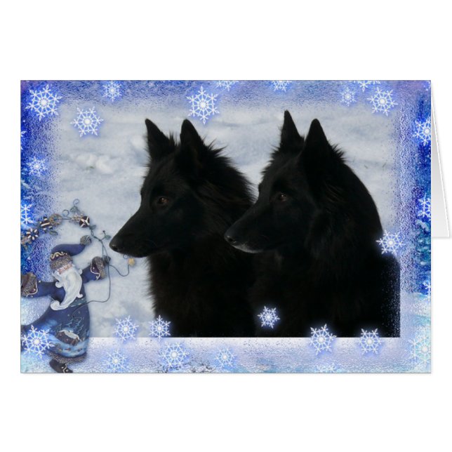 Kerstkaart 2 Groenendaelers (Anverso (Horizontal))