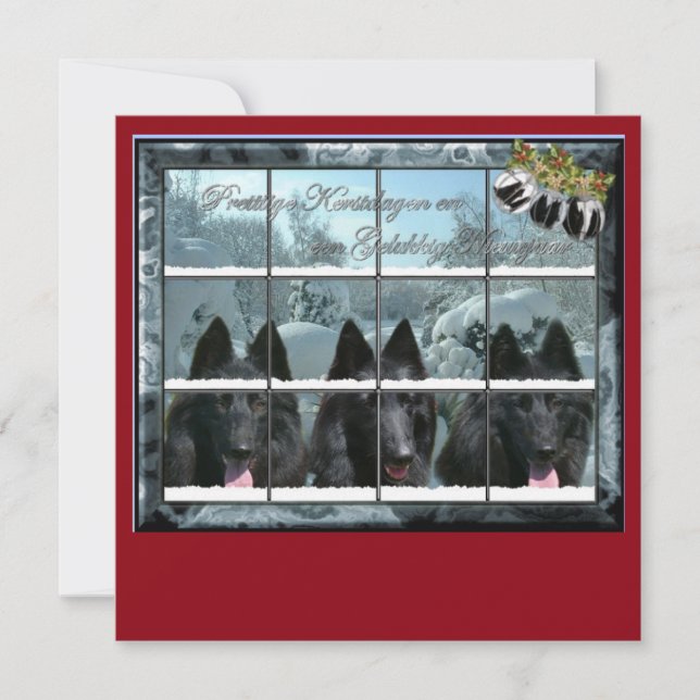 Kerstkaart de 3 groenendaelers (Anverso)