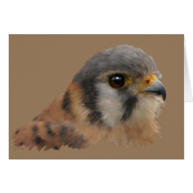 Kestrel americano (Anverso (Horizontal))