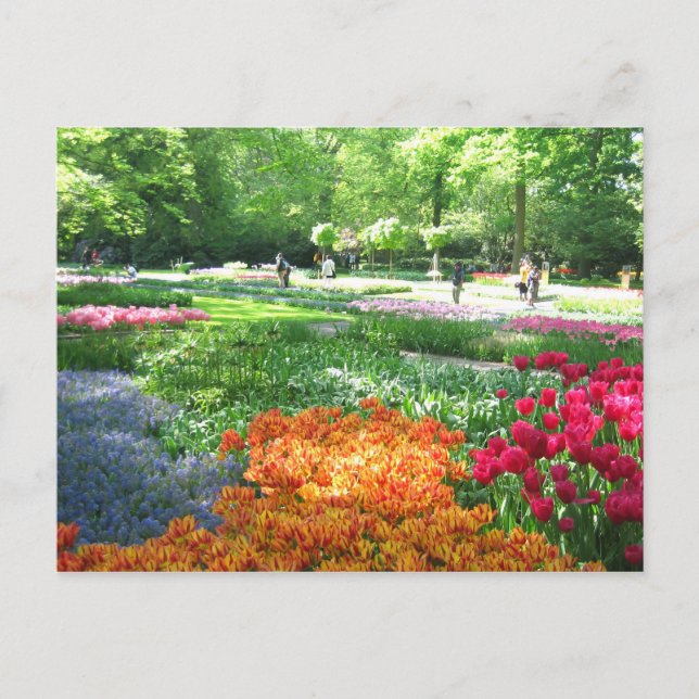 Keukenhof garden - postal holandesa (Anverso)
