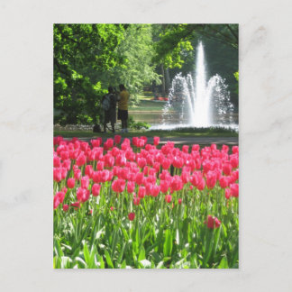 Keukenhof garden - postal holandesa