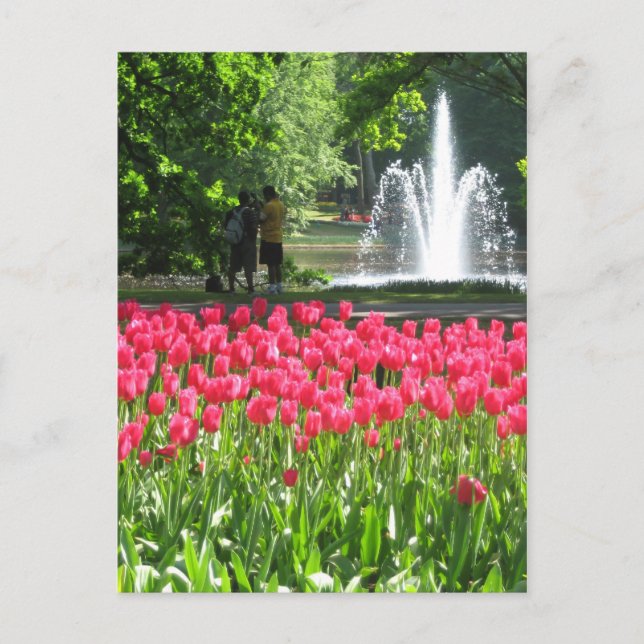 Keukenhof garden - postal holandesa (Anverso)