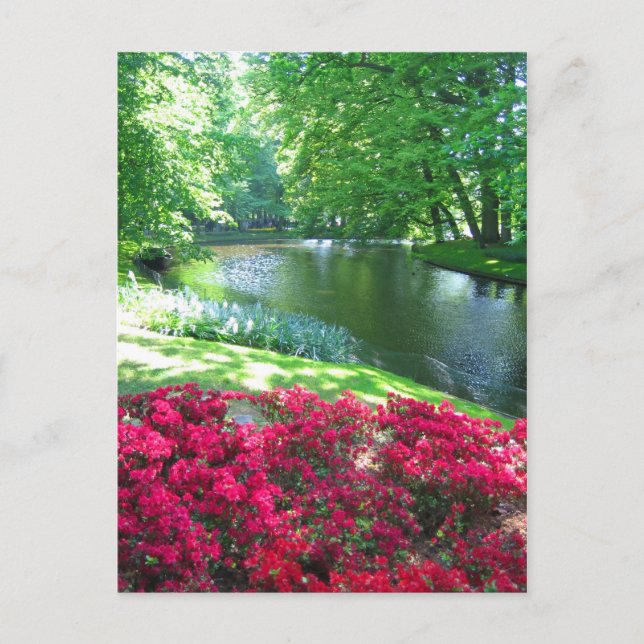 Keukenhof garden - postal holandesa (Anverso)