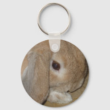 Keychain o llavero - Conejo enano de lop Earf