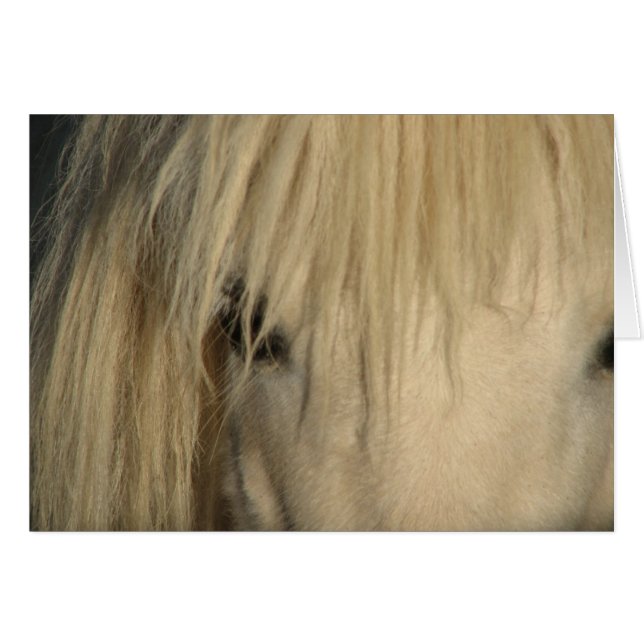 Khalif (Anverso (Horizontal))