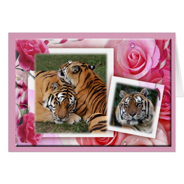 Khan-00100-65x45 (Anverso (Horizontal))