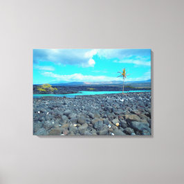 Kiholo Bay capturó la vista panorámica del lienzo 