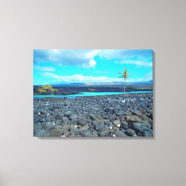 Kiholo Bay capturó la vista panorámica del lienzo  (Anverso)