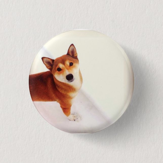 Kiki el botón de la mochila de Shiba (Anverso)