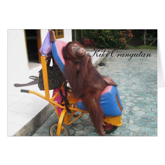 KiKi Orangutan OFI (Anverso (Horizontal))