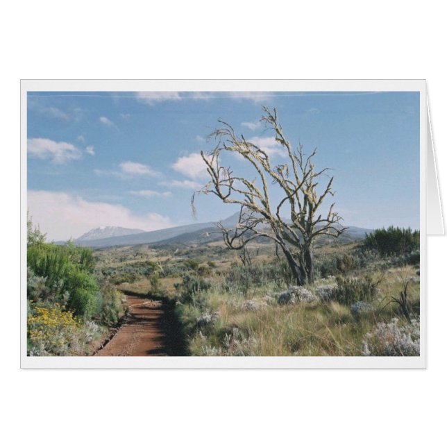 Kilimanjaro Moorlands Card (Anverso (Horizontal))
