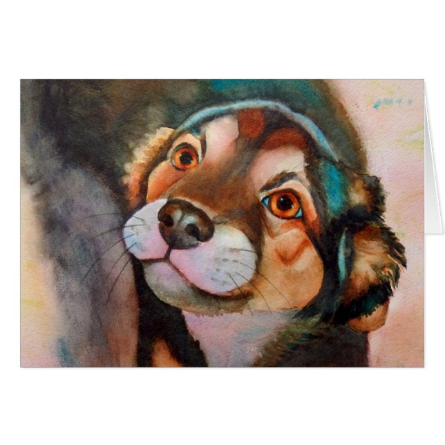 Kimba, Mezcla de Pastores (Anverso (Horizontal))