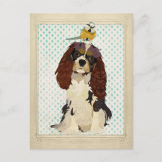 King Cavalier y la pequeña postal de pájaro