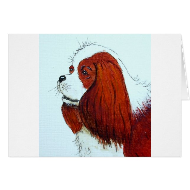 King Charles Cavalier Spaniel (Anverso (Horizontal))