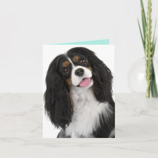 King Charles Cavalier - Tarjeta de nota
