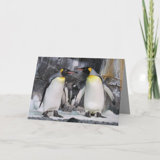 King Penguins - Te veo tarjeta de saludo (Anverso)