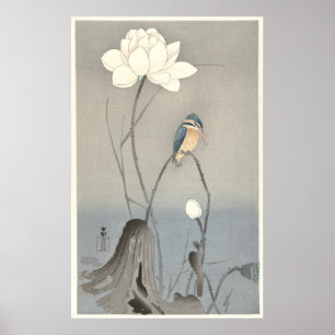 Kingfisher con Flor Lotus - impresión de archivos