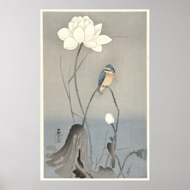 Kingfisher con Flor Lotus - impresión de archivos (Frente)