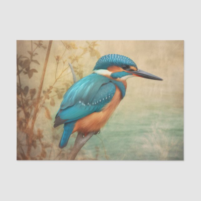 KINGFISHER hermoso papel de desenlace (Anverso)