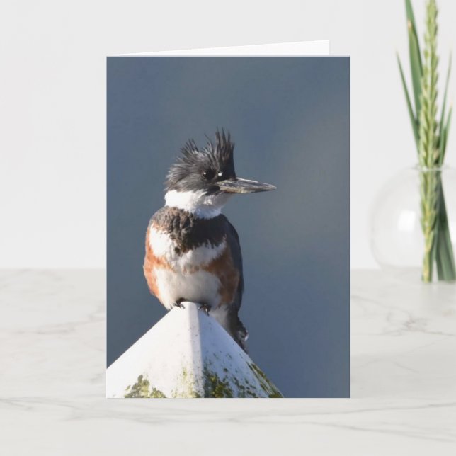 Kingfisher - Tarjeta de Arte Frameable (Anverso)