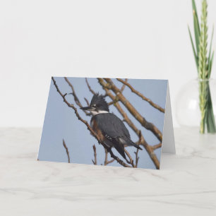 Kingfisher - Tarjeta de Arte Frameable