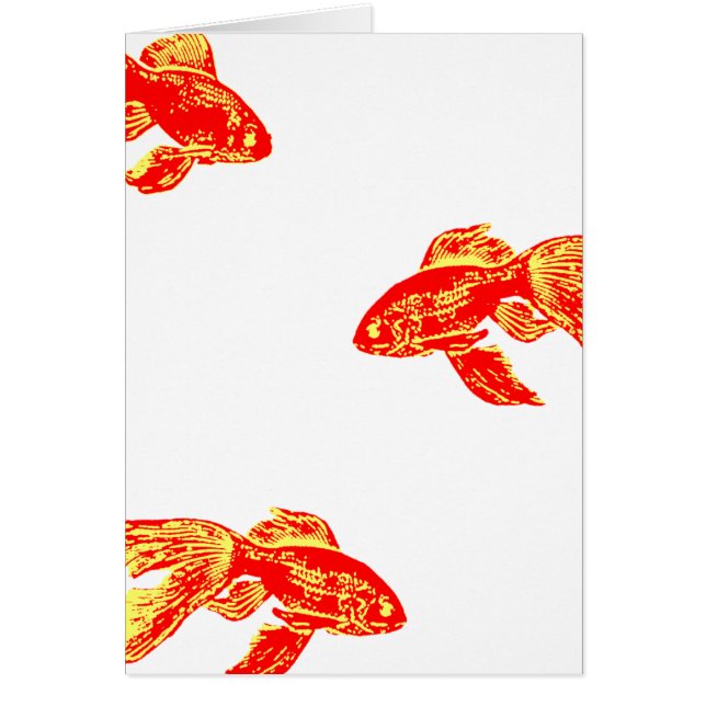 kingyo rojo (Frente)