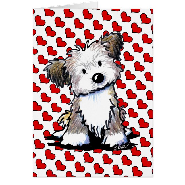 KiniArt Havanese (Frente)
