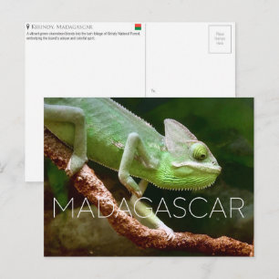 Kirindy, Madagascar Tarjeta Postal de Viaje