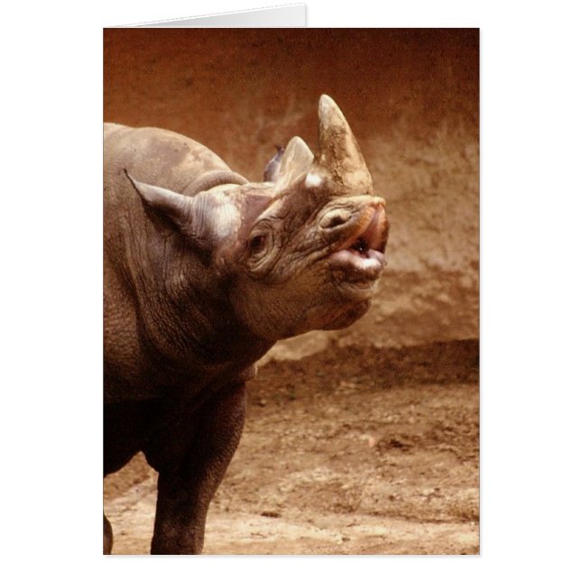 Kissy Kissy (Frente)