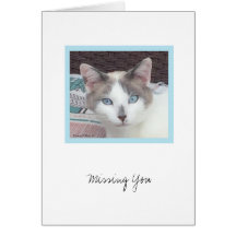 Kit - Colección de Kit - Tarjeta de nota #3